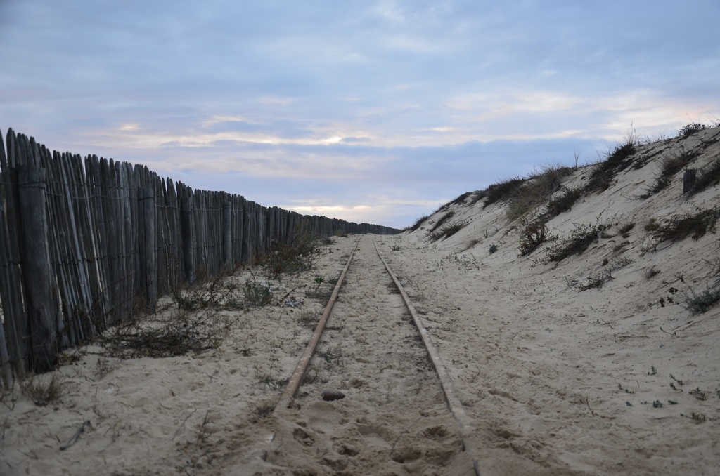 2016-12-10 Bordeaux/Cap Ferret/DSC_0292.JPG